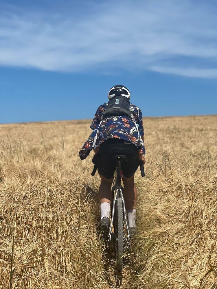 SSX Mystery Tour 2022