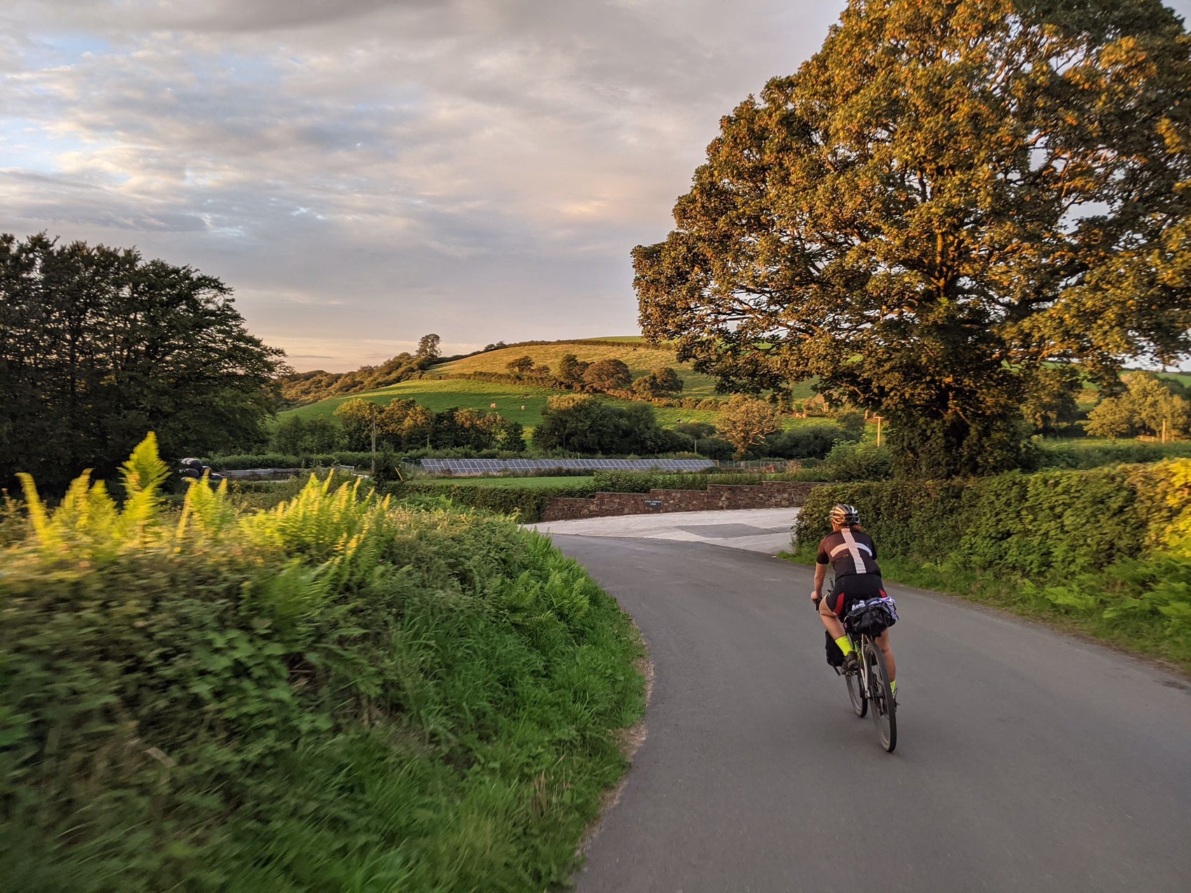 a woman riding her bike down a country road with green 