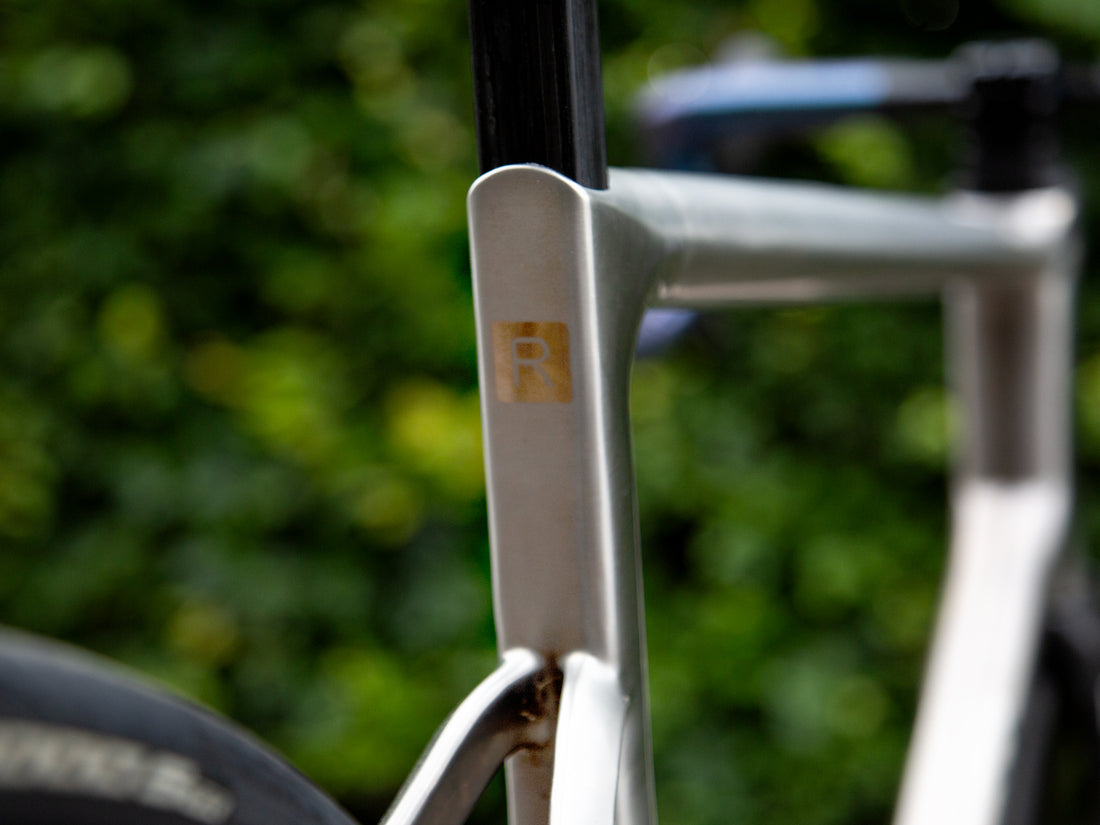 Close-up of a bicycle frame with a matte silver finish and a small gold square logo featuring a stylized letter 'R', set against a blurred green outdoor background.