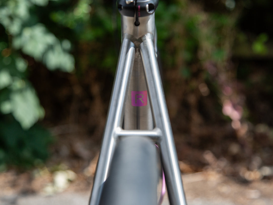 Close-up of a metallic bicycle frame tube with a small pink square logo featuring a stylized letter 'R', set against a blurred outdoor background of green foliage.