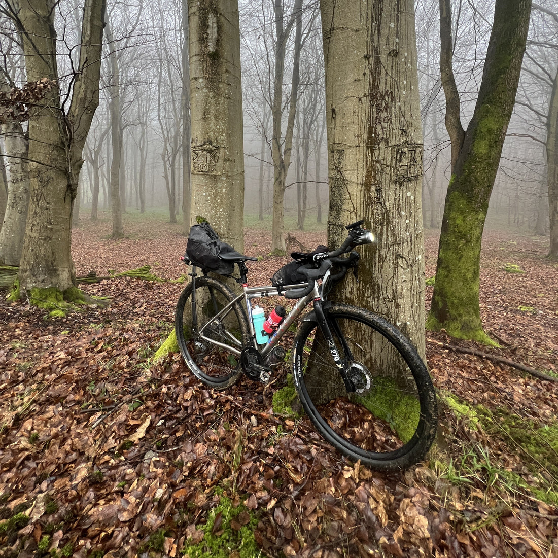 A black and silver gravel bicycle with rear and front racks, a water bottle, and a bag, leaning against a tree in a misty forest with fallen leaves on the ground.