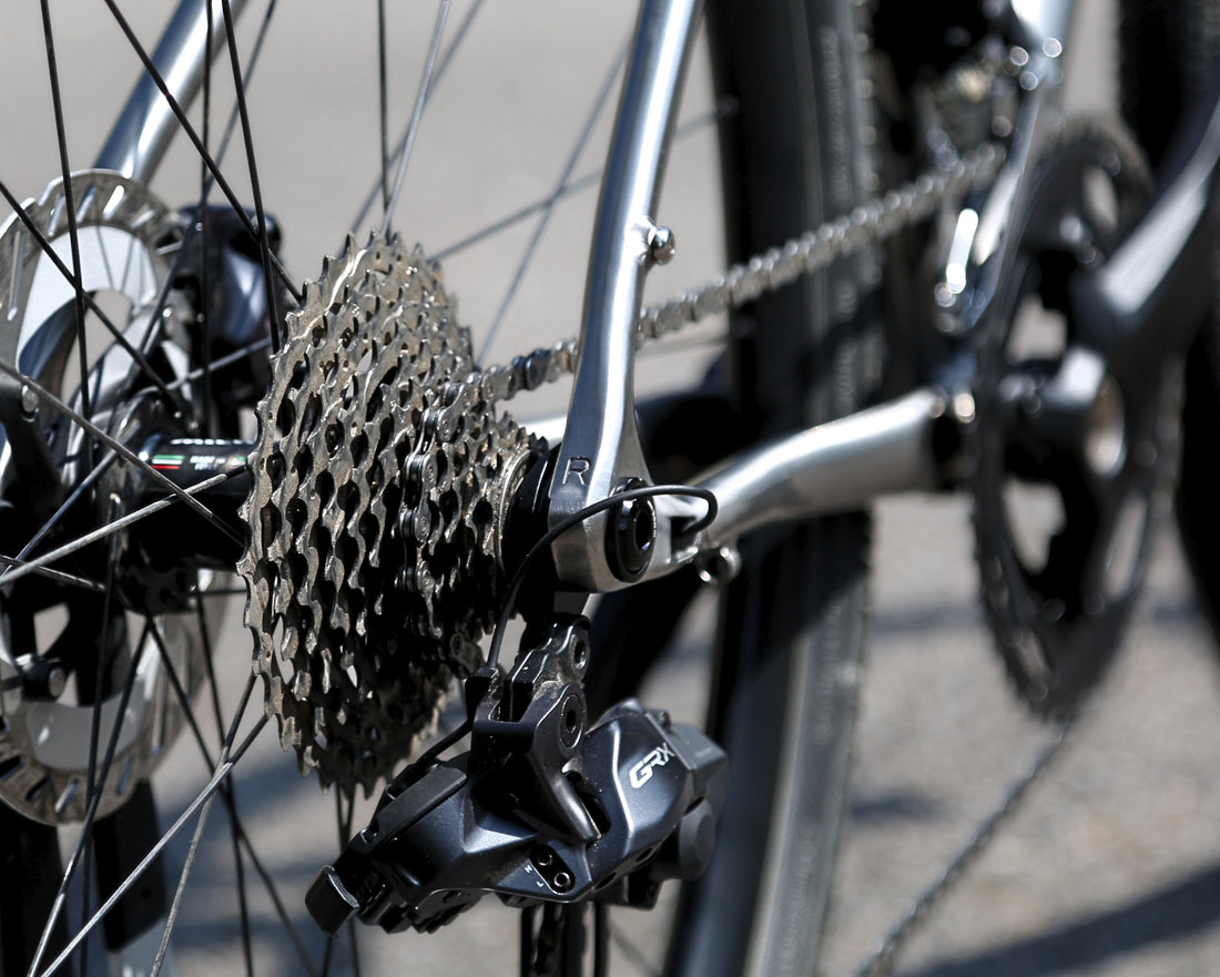 Close-up of a bicycle's rear wheel and drivetrain, showing a black rear derailleur, cassette, chainring, and disc brake on a silver bicycle frame.