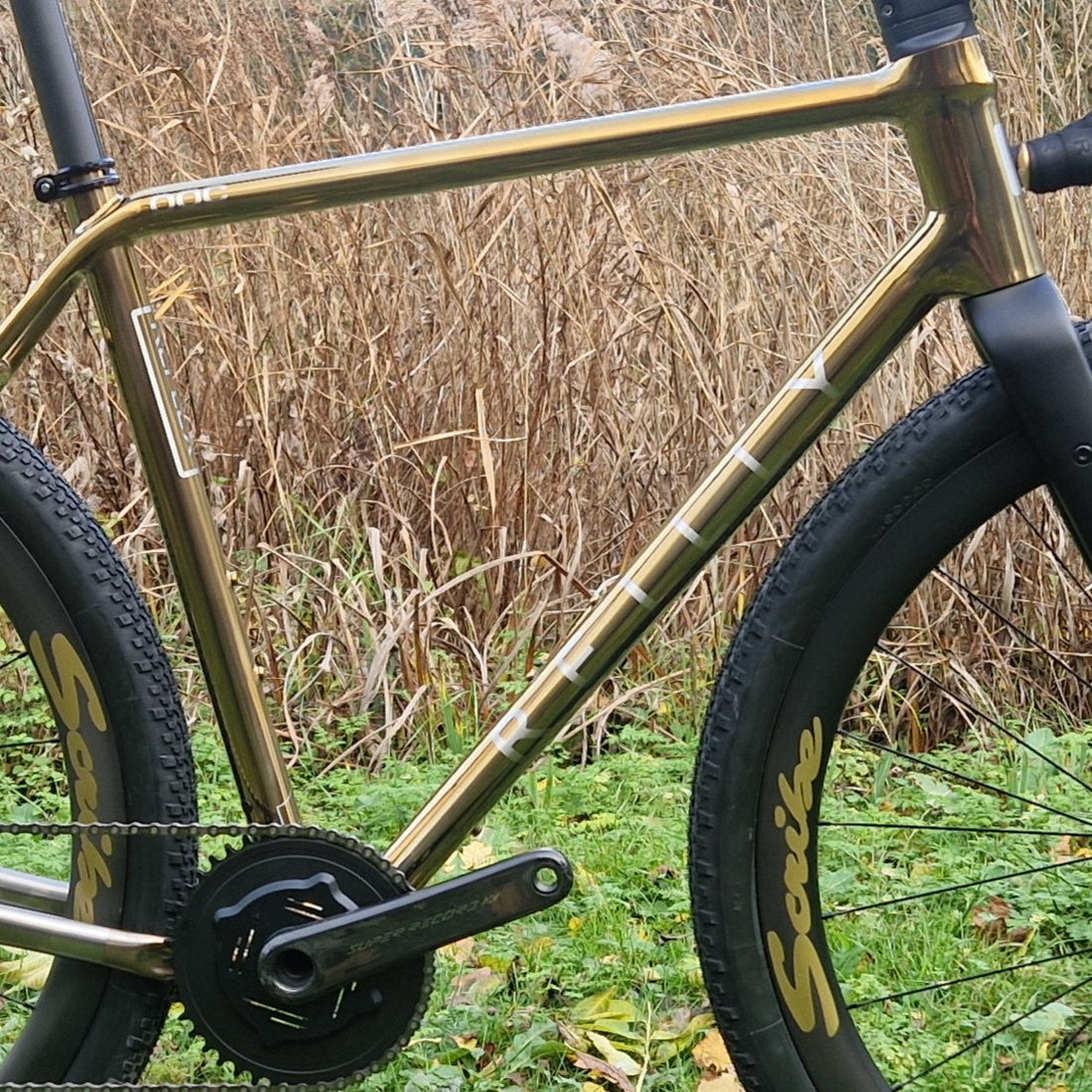 Gold bicycle frame with black tires and visible brand logo against a natural background