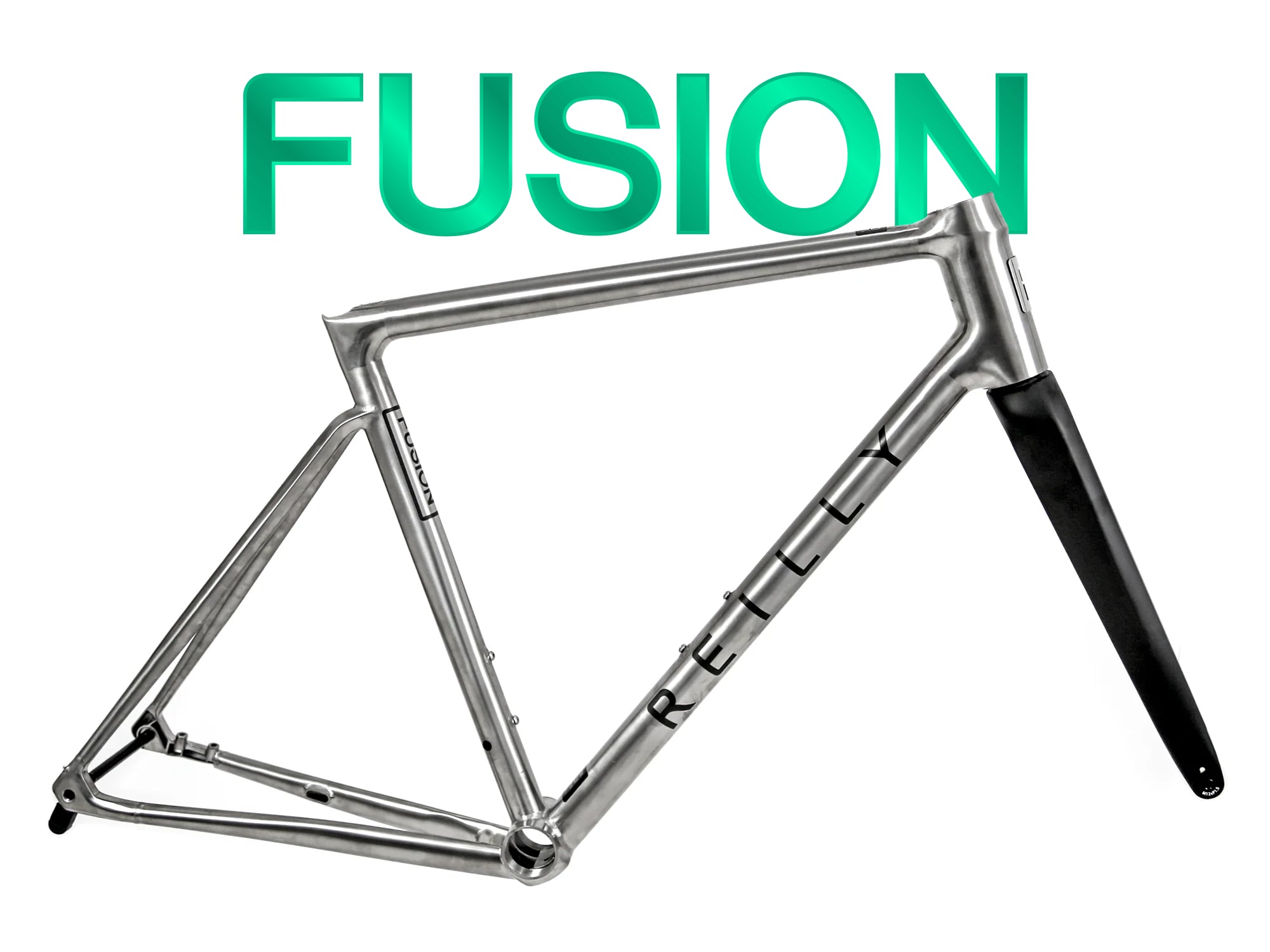 Reilly Fusion road bike frameset with carbon forks and black decals