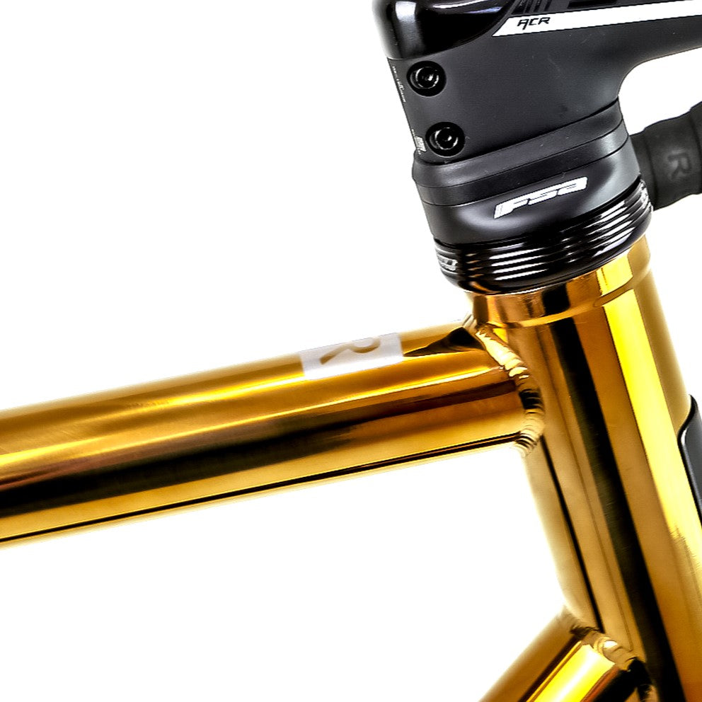 Reilly fusion road bike with a custom polished gold finish 