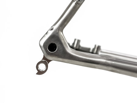 Rear derailleur mech hanger of the Reilly Reflex titanium bike