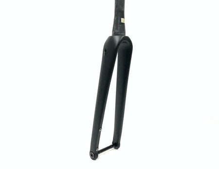 Reilly T325D carbon fibre forks with eyelets and thru axle