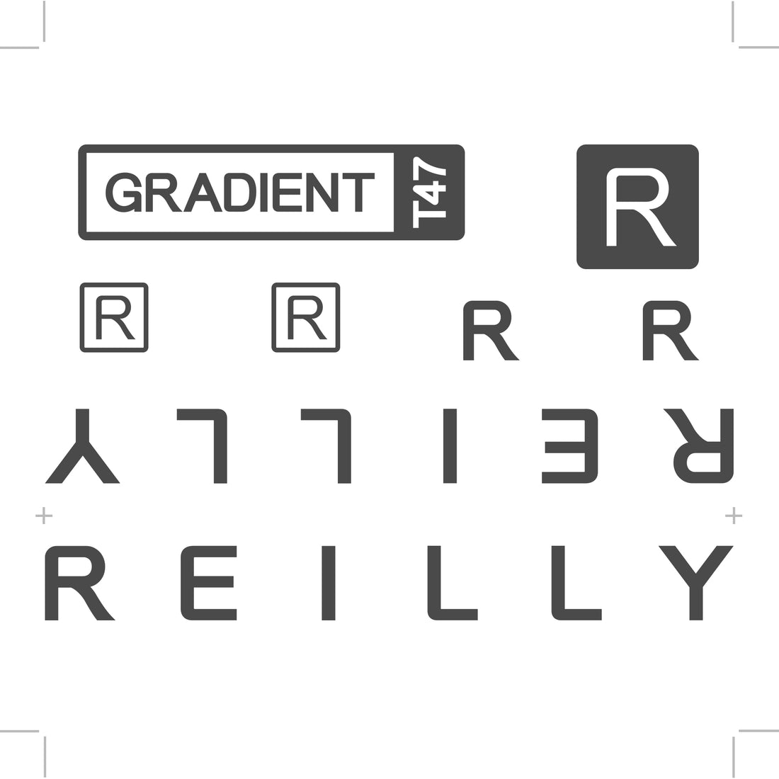 Reilly branded decal logo pack for use on a titanium bike