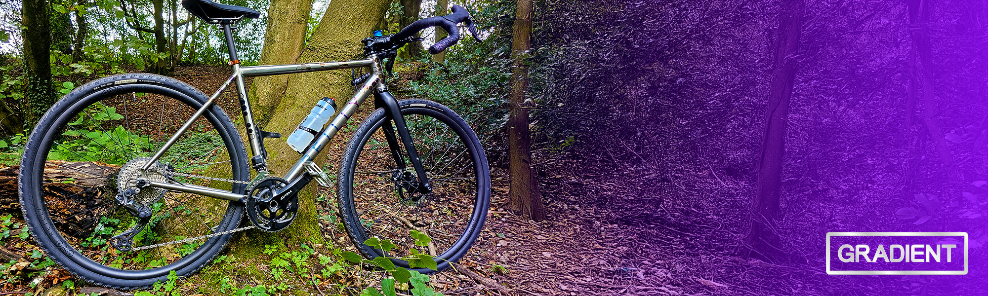 a bike rested in front of a tree in a forest.