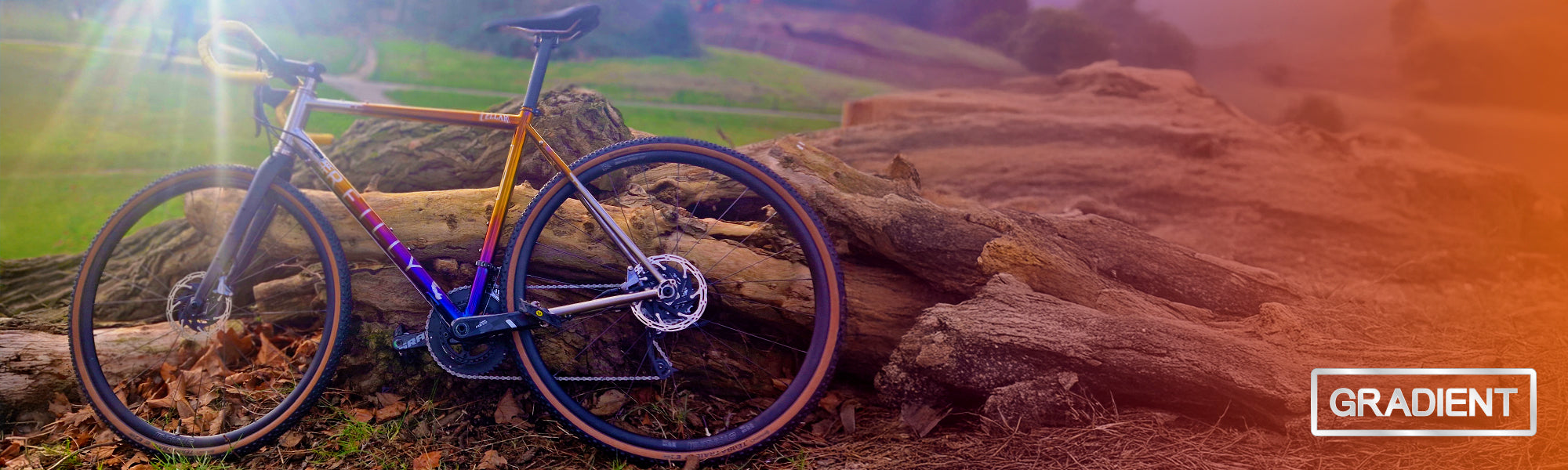 a chrome bike rested in front of some logs