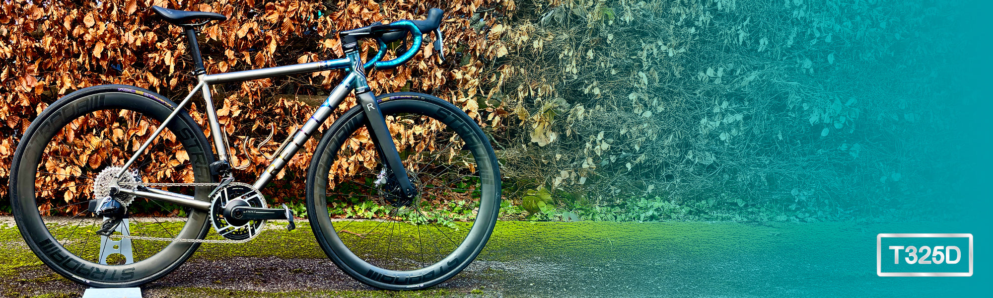 Bicycle leaning against a textured wall with a blurred natural background