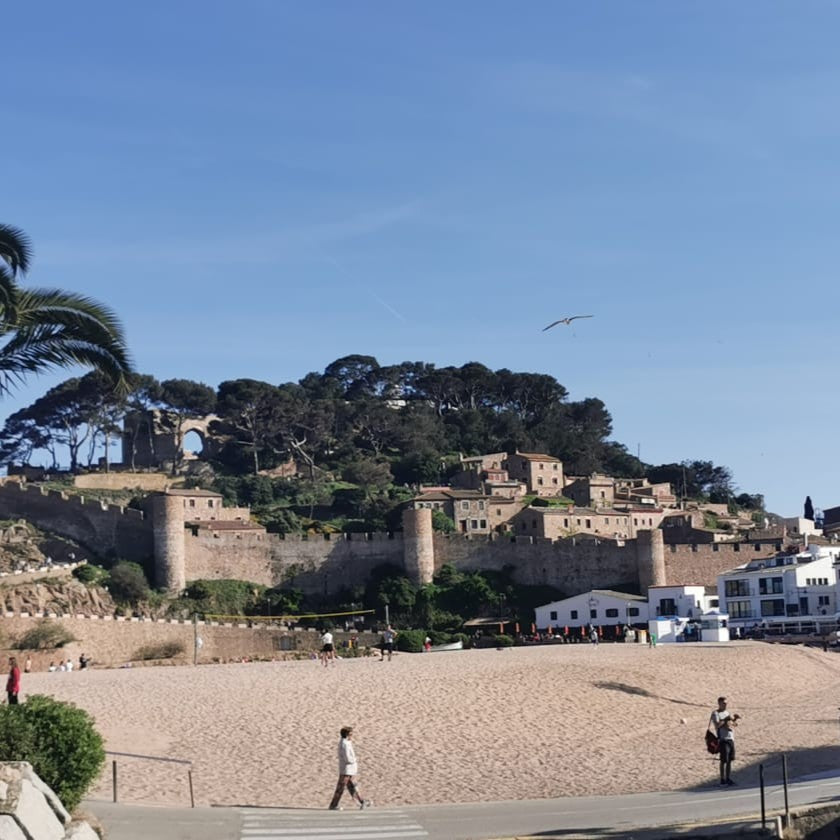 a castle-like strcuture on a hill with sand flooring beneath it