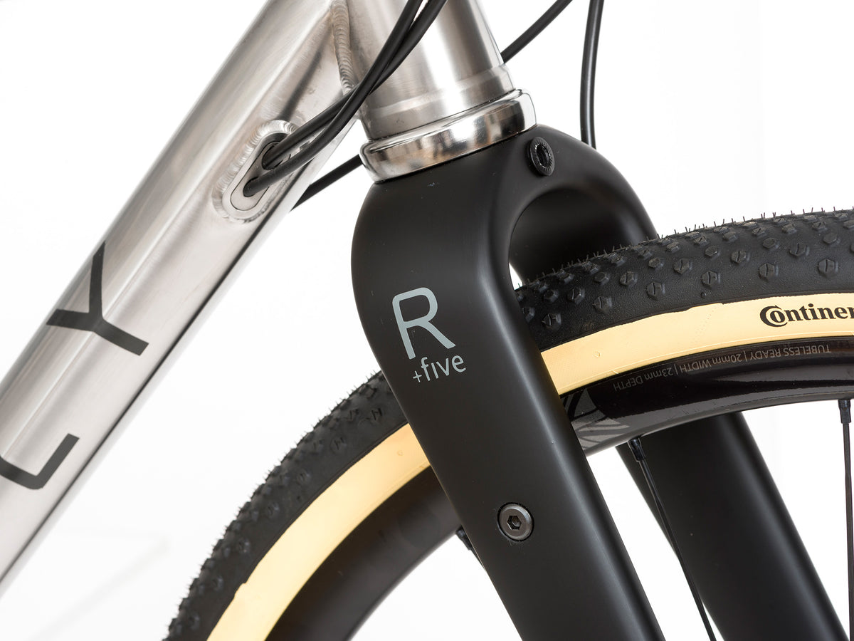 Reilly carbon adventure forks on a titanium gravel bike 